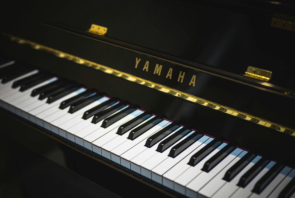 Contatto Sonoro - Un'Idea originale per il tuo Ricevimento? The Pianist